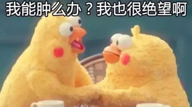e5bde9362ce0467b93db816909df8777.jpeg