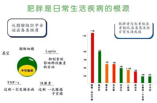 世界各国人口总数_2016年世界各国人口数量排行榜(3)